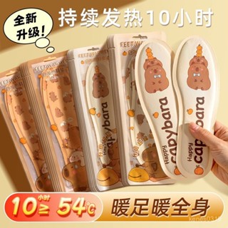 【臺灣出貨】髮熱鞋墊 暖足鞋墊 加熱鞋墊 可行走自髮熱暖足貼 暖寶寶暖腳寶 冬季保暖自加熱鞋墊 JEMI