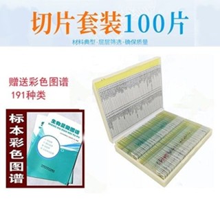 實驗器材 顯微鏡生物切片標本200片盒裝套裝高透玻璃切片學生教學實驗切片