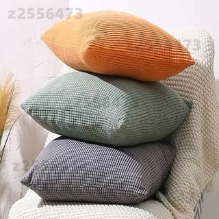 【桃園出貨】抱枕套 素色抱枕套 45×45cm 玉米絨抱枕套 沙發抱枕套 兩用沙發靠墊 可拆洗抱枕套