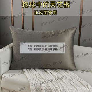 素色簡約布藝抱枕鹿絨涼感絲兩面雙用客廳沙發靠墊床頭加厚靠背 舒心絨抱枕 抱枕套 可拆洗抱枕 莫蘭迪 枕頭套 可洗沙發抱枕