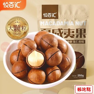 🔥好吃點 新店超實惠 [淨重500g無乾燥劑]悅百匯奶香味夏威夷果2袋裝零食大顆粒堅果