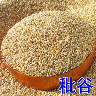 ✨新品特惠 養生枕 秕穀枕頭新秕穀新鮮穀秕子顆粒帶殼助眠童成人保健枕芯枕頭填充物