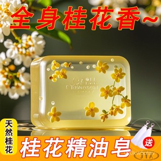 【若琳生活館】香皂桂花香肥皂男女洗澡全身持久留香水皂精油皂控油洗臉沐浴清潔
