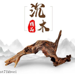 爬寵 飼養箱造景 造景躲避屋 爬蟲造景食水盆 造景 爬寵模擬造景 模擬躲避洞穴 爬寵攀爬木爬寵攀爬木鬃獅蜥曬臺捷角守宮蛇