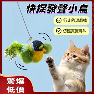 【全網最低隔天發貨】貓玩具 叫叫鳥 逗貓神器 行走的逗貓棒 寵物玩具 模擬叫叫鳥 解放主人雙手