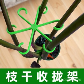 🌸相遇🌸龜背竹 植物莖支架 植物支架 龜背芋架 花莖架 隱形支撐架 透明支架 植物固定支架 SDIS