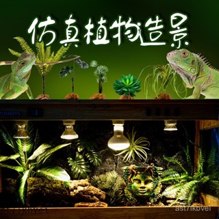 🐉爬寵生活館🐉爬寵箱綠植 爬寵模擬綠植 綠植造景 魚缸造景 模擬水草 水草造景爬蟲爬寵飼養箱造景生態雨林缸仿真植物陸龜蜥