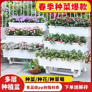 宅配免運 【多層種菜盆】陽臺種菜專用箱花箱長方形多層種菜架家用塑料盆