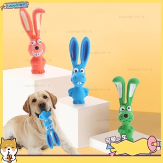 🐶寵物館🐶狗玩具調皮兔子狗狗乳膠啃咬玩具 耐咬磨牙玩具qwe