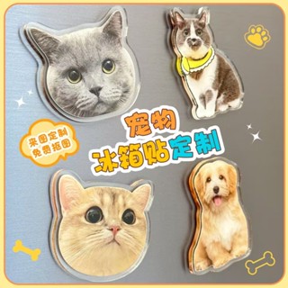 💥【爆款】💥 高顏值冰箱貼 美化家庭新款磁吸冰箱貼貓咪小狗寵物定製可愛diy照片人物訂做定製文創