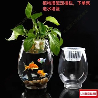 LJX熱銷品桌面魚缸 鬥魚缸 家居小型魚缸 水族箱 迷你創意免換水懶人魚缸 水培植物玻璃瓶綠蘿花瓶花盆辦公室創66