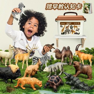 ✨紐奇模擬動物模型兒童玩具小兔子男女孩野生動物世界認知卡片套裝 動物模型 模擬動物 模擬動物模型 動物擺件 益智動物模型