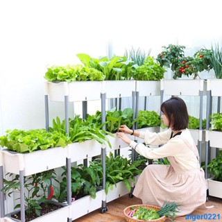 種植蔬菜塑料箱 家用 陽臺種花種菜神器多層架自吸水懶人盆種菜種花家庭陽臺多功能立體組合塑膠種植箱槽