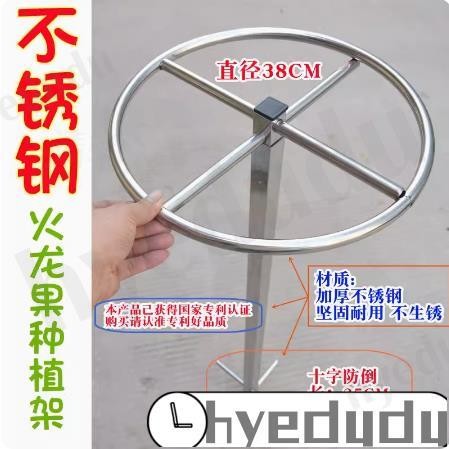 不鏽鋼火龍果種植架 火龍果支架 不銹鋼種植專用架 支撐架子 花架 盆栽地栽火龍果苗頂圈支架 💕hyedudu💕