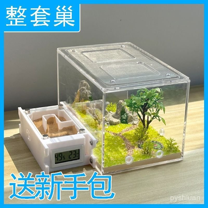 點為至臻 螞蟻城堡 超大型寵物螞蟻工坊 螞蟻別墅 混凝土蟻巢平麵巢  螞蟻 崑蟲生態寵物玩具 螞蟻家園 城堡迷宮 JK2