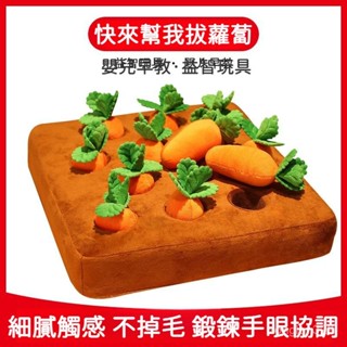 拔蘿蔔玩具 胡蘿蔔玩偶 寶寶益智早敎 毛絨玩具 嬰幼兒啟懞可啃咬玩具 手部訓練 親子早敎 益智拔蘿蔔 填充玩具 認知玩具