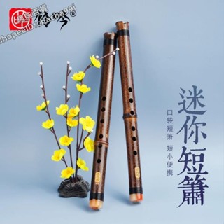 橫笛 曲笛 初學入門紫竹短簫6孔E調蕭樂器洞簫迷你瀟學生便攜古風 初學者竹笛 吹奏樂器 笛子 趣味精品
