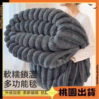 臺灣發貨🔥雙層加厚法蘭絨 羊羔絨毛毯被 毛毯 絨毛被 法蘭絨毯 絨毯 厚毯 毯子 冬季毯 網美毯 羊羔絨 保暖575
