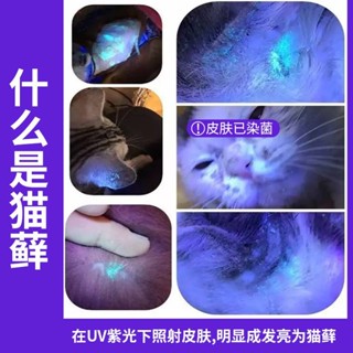 好物優選✨伍德氏燈照貓蘚燈紫外線熒光劑紫光燈寵物生病真菌檢測手電逗貓棒