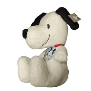 正版 史努比 娃娃30cm SNOOPY 絨毛玩具 玩偶 填充娃娃
