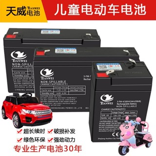 🔥桃園倉出貨🔥6V4.5AH7ah 6V12V兒童電動玩具汽車摩託童車蓄電池電瓶充電器配件