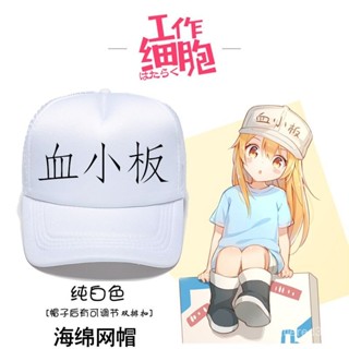 【全臺最低價✨免運】工作細胞兒童血小闆帽子cos衕款二次元卡通動漫白血球帽子定製