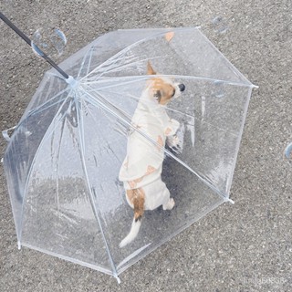 【臺灣熱賣】⭐寵物專用狗狗雨傘下雨遛狗神器柯基雨衣狗用雨傘透明泰迪中小型犬