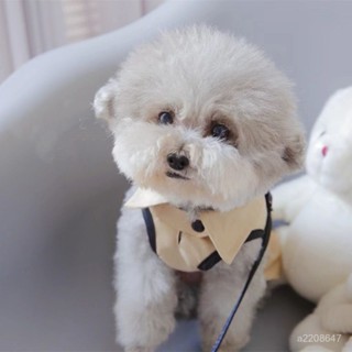 🔥新品促銷🔥夏天潮牌風衣 寵物服飾 貓咪衣服 小型犬衣服 比熊 泰迪 狗狗衣服 春夏裝 可牽引 配牽引繩