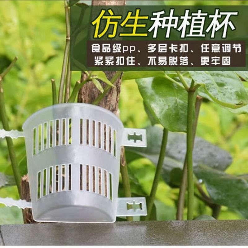 ·熱賣育苗控根塑料鐵皮石斛蘭科種植杯卡扣式花盆棉繩綁樹綁植板定植籃