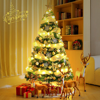 聖誕節 裝飾 Christmas 聖誕樹 家用聖誕樹加密套餐diy聖誕節髮光ins高階感裝飾品擺件 享家生活