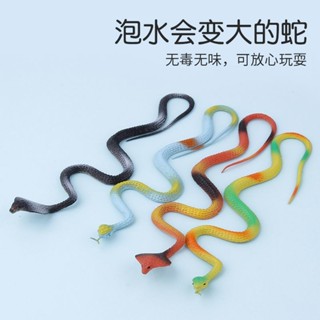 兒童玩具 恐龍玩具 吸水長大蛇遇水膨脹泡大模擬眼鏡蛇整蠱惡搞兒童男女孩網紅小玩具