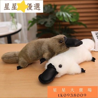 限時折扣👜模擬鴨嘴獸 30cm/35cm/45cm 可愛趴姿長條澳洲動物係列鴨嘴獸毛絨玩具兒童女生安撫玩偶布娃娃tk0