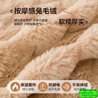 HL 秋冬季加厚毛絨沙發巾 擼貓感柔軟沙發蓋布 兔兔絨沙發毯 輕奢防貓抓沙發巾 沙發套罩全包 保暖沙發墊冬季07
