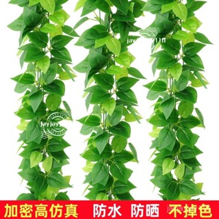 🍁限時下殺🍁模擬 綠蘿葡萄 壁掛裝飾 植物 藤條藤蔓 管道裝飾 塑膠花 假花 藤條假 樹葉藤 壁掛裝飾 XMAD