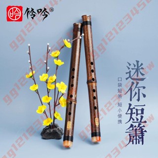 初學入門紫竹短簫6孔E調蕭樂器洞簫迷你瀟學生便攜古風-/*/12P大讚