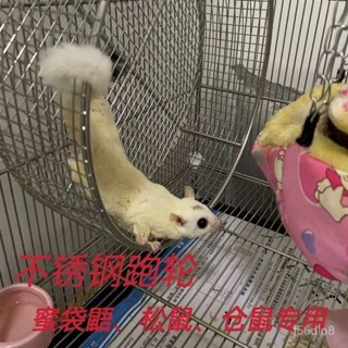 🔥桃園有貨🔥【2478人好評】304不銹鋼蜜袋鼯跑輪鬆跑輪倉跑輪鸚鵡跑輪刺蝟跑輪懸掛跑輪 VAEX