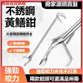 可開發票不銹鋼黃鱔夾子防蛇趕海工具捕鱔魚夾抓泥鰍神器鉗龍蝦螃蟹的鉗子 不鏽鋼螃蟹夾 伸縮捕蛇夾 補蛇夾 黃鱔夾 不銹鋼夾