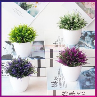 🌺滿額免運🌺假花 仿真花 植物模擬盆栽模擬花草假鳳尾草竹葉草人造植物盆景模擬草帶盆假植物觀賞植物拍照背景居家裝飾