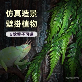 🐉爬寵生活館🐉爬寵箱綠植 爬寵模擬綠植 綠植造景 魚缸造景 模擬水草 水草造景爬蟲飼養箱魚缸造景爬寵仿真植物蜥蜴龜蛇缸裝