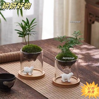 【臺灣熱賣】觀山杯創意迷你微景觀桌面綠植擺件自製裝飾苔蘚小盆景意境觀山盆栽大小號冰山玻璃杯配竹託小白熊配件PSK
