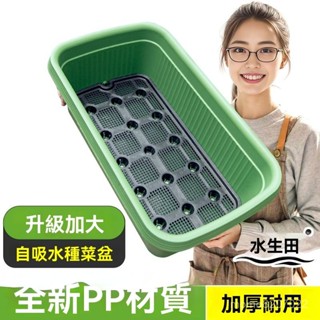 【加大款】種菜專用盆家庭種菜盆神器自動吸水花盆儲水塑膠種植箱