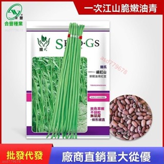 獨立裝🥦『特長豆角種子』摘不完豇豆種子春秋庭院田園易種蔬菜綠條四季豆種籽一次江山脆嫩油青 種子