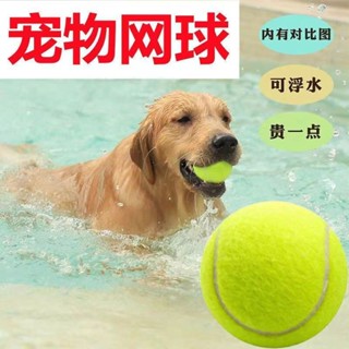 【限時下殺】寵物發聲玩具 搪膠網球7cm 狗狗玩具耐咬 小狗磨牙玩具球 運動網球 互動訓練狗狗玩具