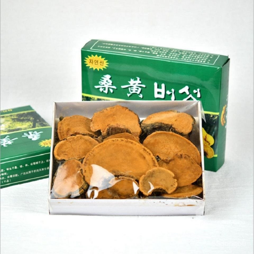 野生500g 野生靈芝 桑黃