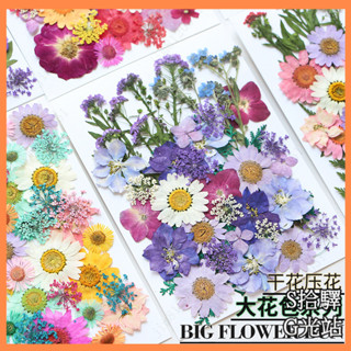 僮燁幹花diy材料押花植物樹葉標本貼楓葉壓花裝飾畵真花楓葉書簽 永生花 少女寫真 壁畫 DIY水晶滴膠 乾燥花 植物標本