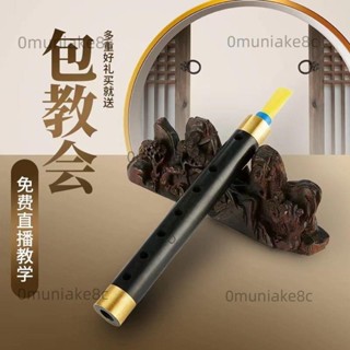 👉#新藝專業烏木管子樂器催淚管初學者成人專業演奏直銷笛子管樂#