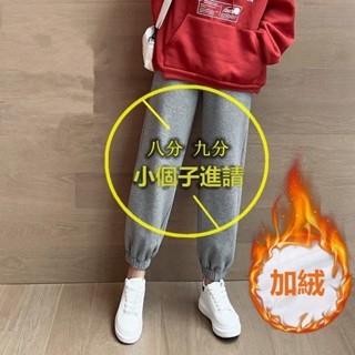 「小隻女」秋冬季 加絨褲 八分褲 灰色運動褲 寬鬆燈籠褲 束腳運動褲 高腰直筒褲 顯瘦加厚 休閒衛褲 145小個子