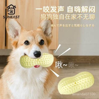 寵物 狗狗磨牙 狗磨牙玩具 寵物磨牙 啃咬玩具 寵物玩具 狗狗玩具 狗玩具 小狗玩具 耐咬娃娃 狗狗解壓玉米花生磨牙可愛