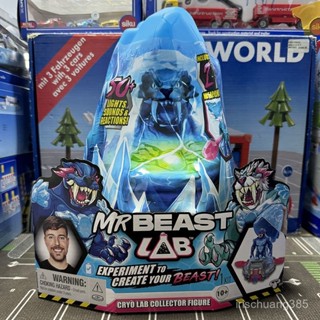 💥🔥美國MrBeast Lab野獸冰凍實驗室解壓公仔潮玩盲盒玩具收藏擺件 盲盒 玩具模型 模型 擺件 擺飾 交換禮物