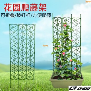 【園藝用品】庭院園藝花支架 爬藤架 破圖 花螢幕 屏風花架 可造型花架lyys04